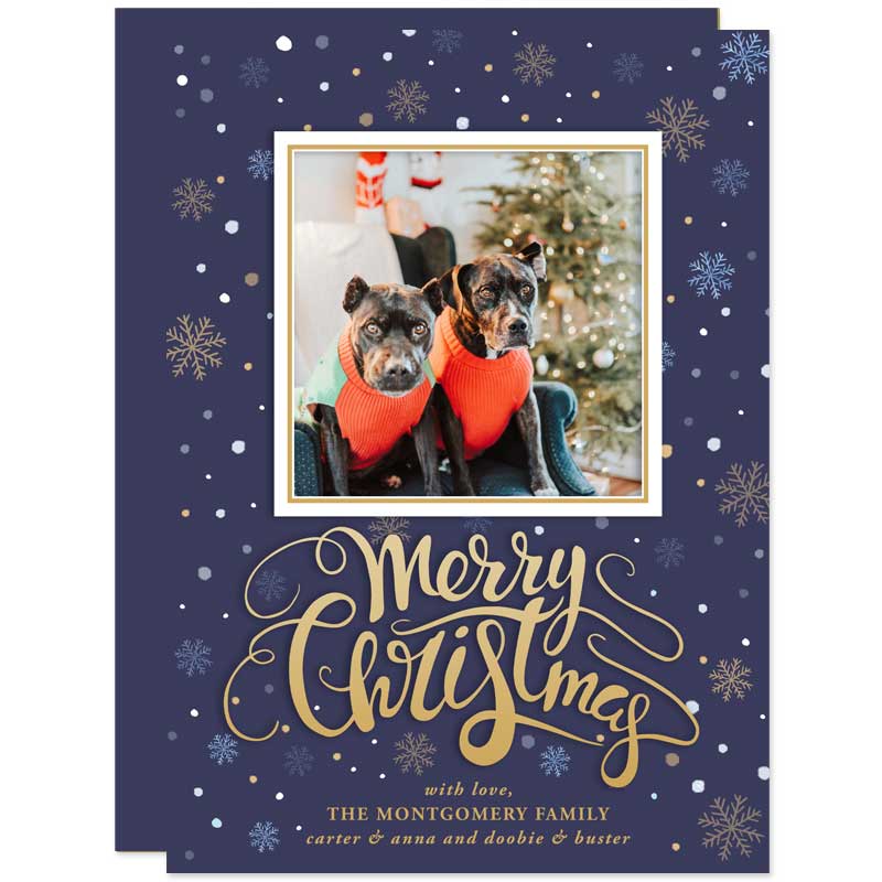 Merry Christmas Snow Photo Holiday Cards by The Spotted Olive