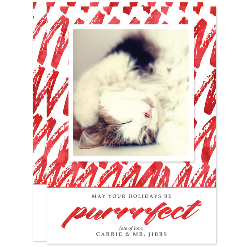 Purrrfect Cat Holiday Photo Cards by The Spotted Olive